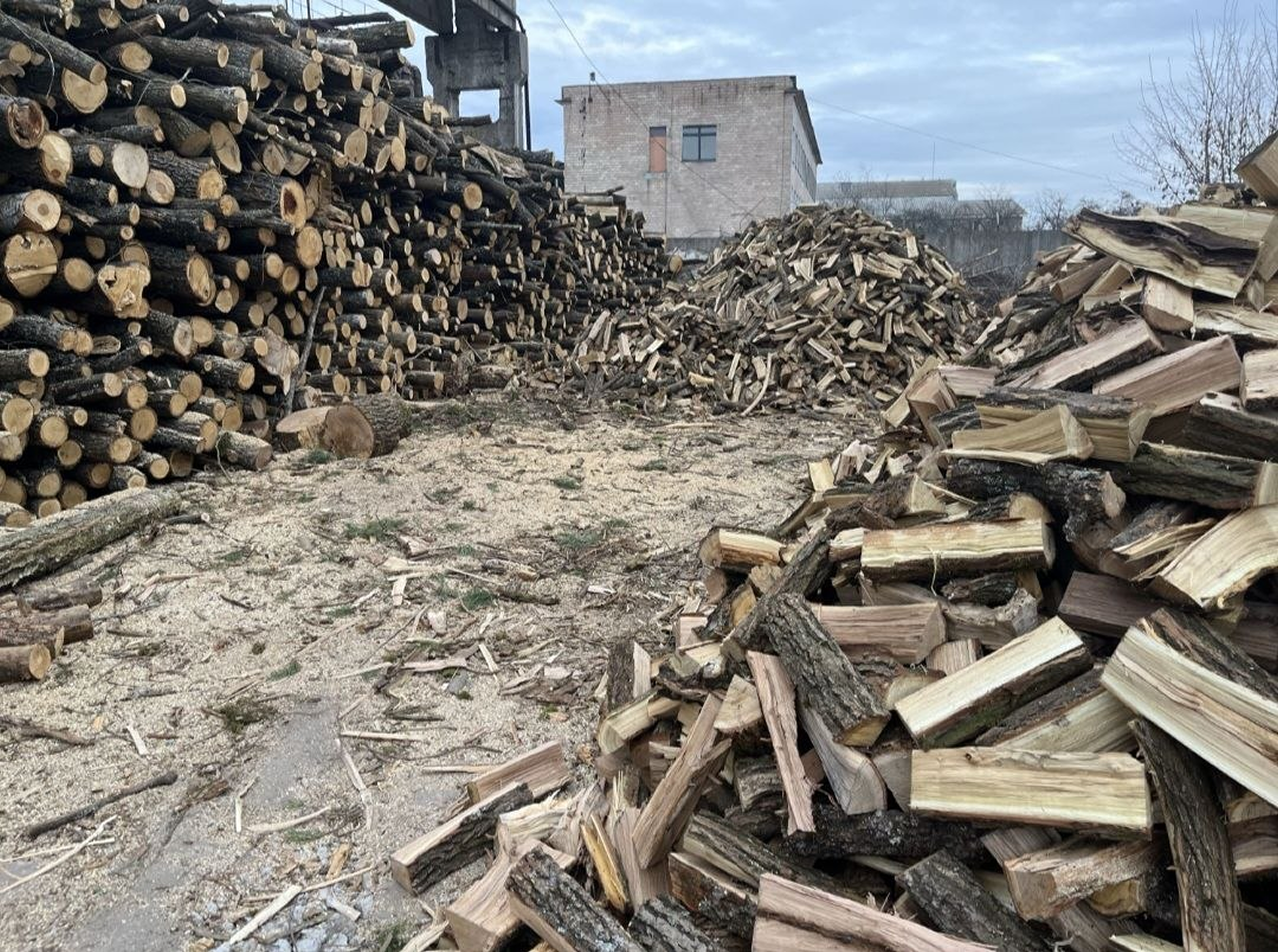 Дрова на складі Дров’яного Двору